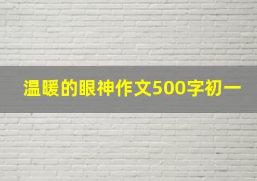 温暖的眼神作文500字初一