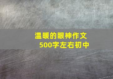 温暖的眼神作文500字左右初中