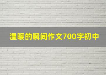 温暖的瞬间作文700字初中