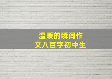 温暖的瞬间作文八百字初中生