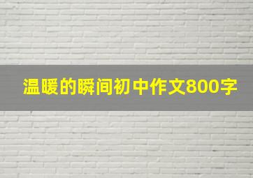 温暖的瞬间初中作文800字