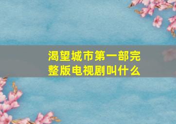 渴望城市第一部完整版电视剧叫什么