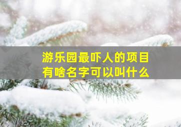 游乐园最吓人的项目有啥名字可以叫什么