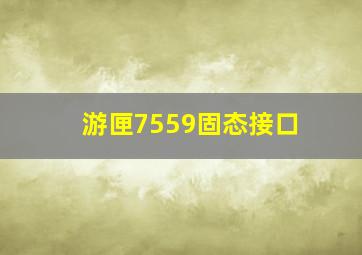 游匣7559固态接口