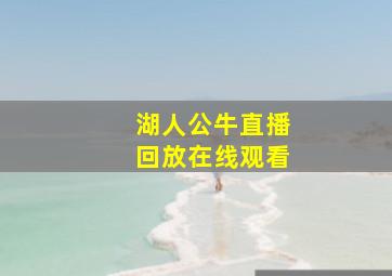 湖人公牛直播回放在线观看