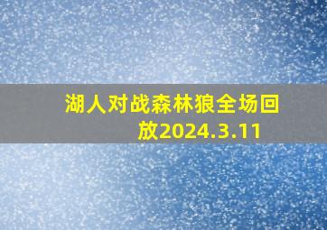 湖人对战森林狼全场回放2024.3.11