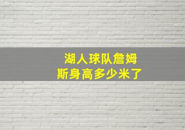 湖人球队詹姆斯身高多少米了