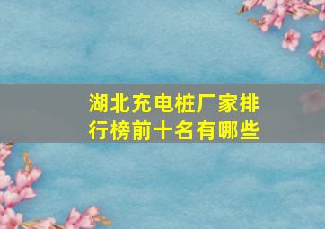 湖北充电桩厂家排行榜前十名有哪些