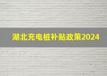 湖北充电桩补贴政策2024