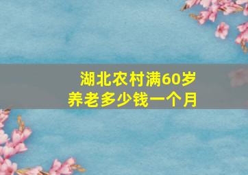 湖北农村满60岁养老多少钱一个月