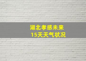 湖北孝感未来15天天气状况