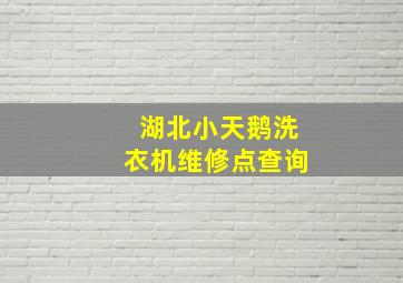 湖北小天鹅洗衣机维修点查询