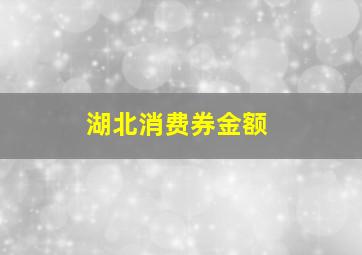 湖北消费券金额