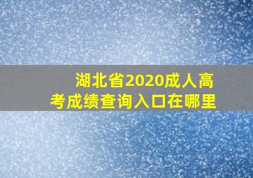 湖北省2020成人高考成绩查询入口在哪里