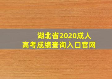 湖北省2020成人高考成绩查询入口官网