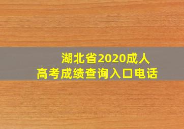 湖北省2020成人高考成绩查询入口电话