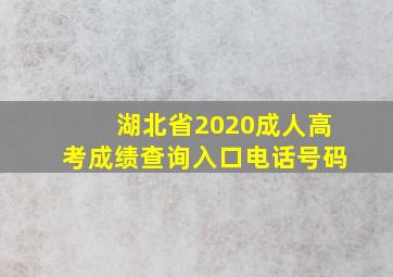 湖北省2020成人高考成绩查询入口电话号码