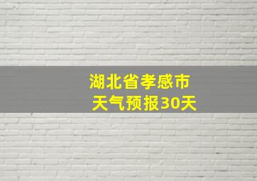 湖北省孝感市天气预报30天