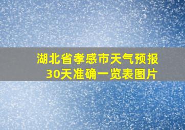 湖北省孝感市天气预报30天准确一览表图片