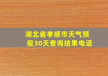 湖北省孝感市天气预报30天查询结果电话