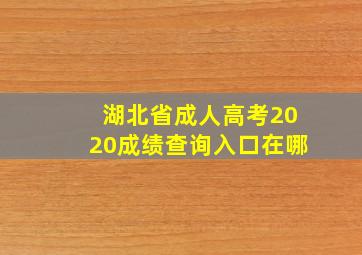 湖北省成人高考2020成绩查询入口在哪