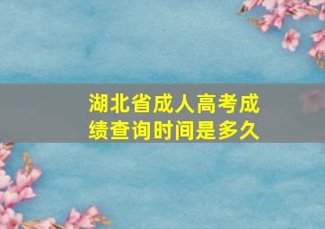 湖北省成人高考成绩查询时间是多久