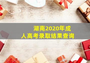 湖南2020年成人高考录取结果查询