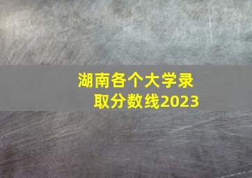 湖南各个大学录取分数线2023