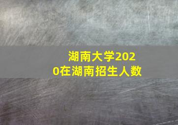 湖南大学2020在湖南招生人数