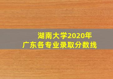 湖南大学2020年广东各专业录取分数线