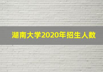 湖南大学2020年招生人数