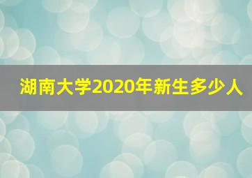 湖南大学2020年新生多少人