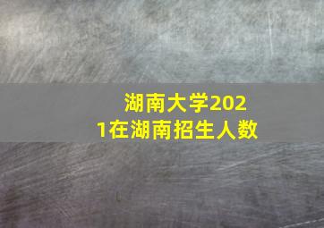 湖南大学2021在湖南招生人数