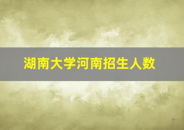 湖南大学河南招生人数