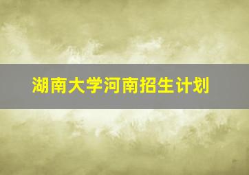 湖南大学河南招生计划