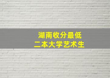 湖南收分最低二本大学艺术生