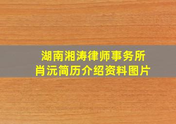 湖南湘涛律师事务所肖沅简历介绍资料图片