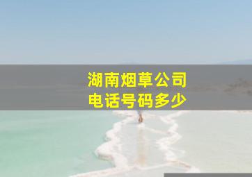 湖南烟草公司电话号码多少