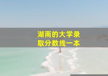 湖南的大学录取分数线一本