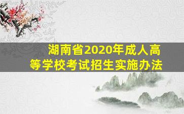 湖南省2020年成人高等学校考试招生实施办法