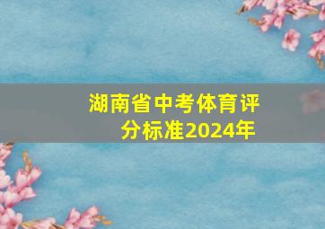 湖南省中考体育评分标准2024年