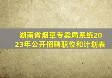 湖南省烟草专卖局系统2023年公开招聘职位和计划表