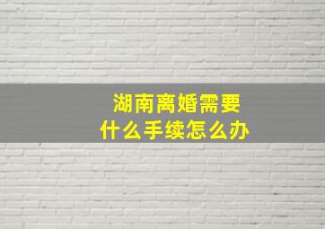 湖南离婚需要什么手续怎么办