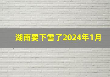 湖南要下雪了2024年1月