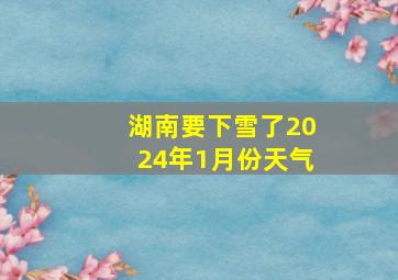 湖南要下雪了2024年1月份天气