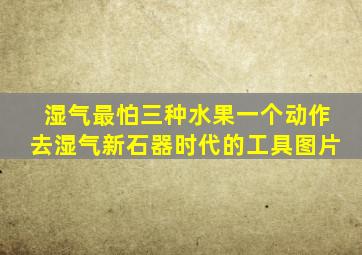 湿气最怕三种水果一个动作去湿气新石器时代的工具图片