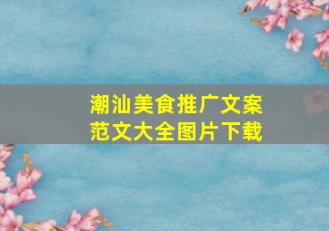 潮汕美食推广文案范文大全图片下载