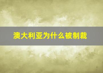 澳大利亚为什么被制裁