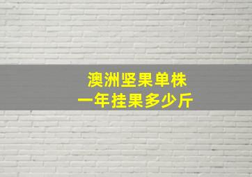 澳洲坚果单株一年挂果多少斤