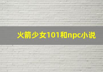 火箭少女101和npc小说